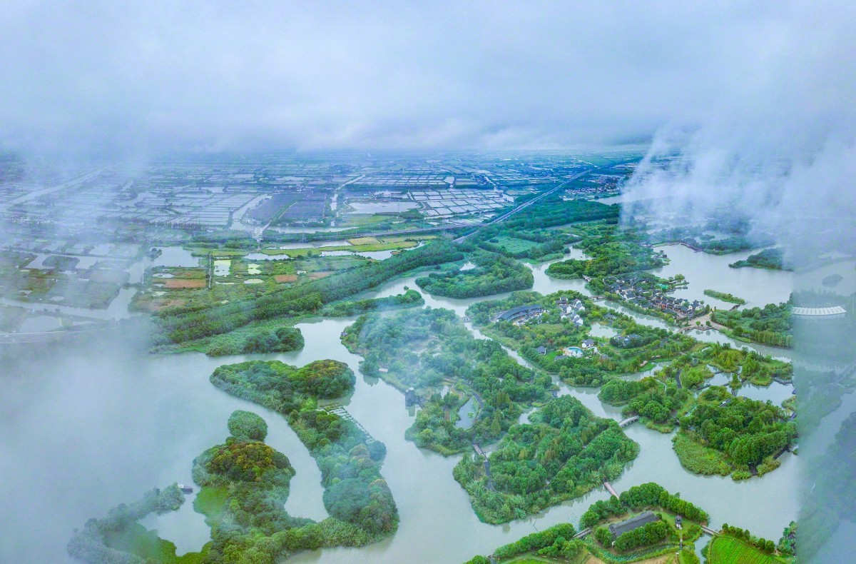 江苏之旅，探寻自然之美，重拾心灵宁静