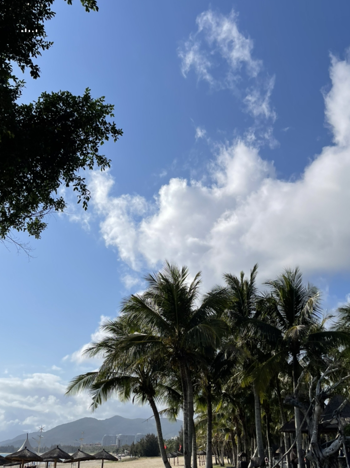 海南盛事，尊敬的领导与朋友们共襄盛举