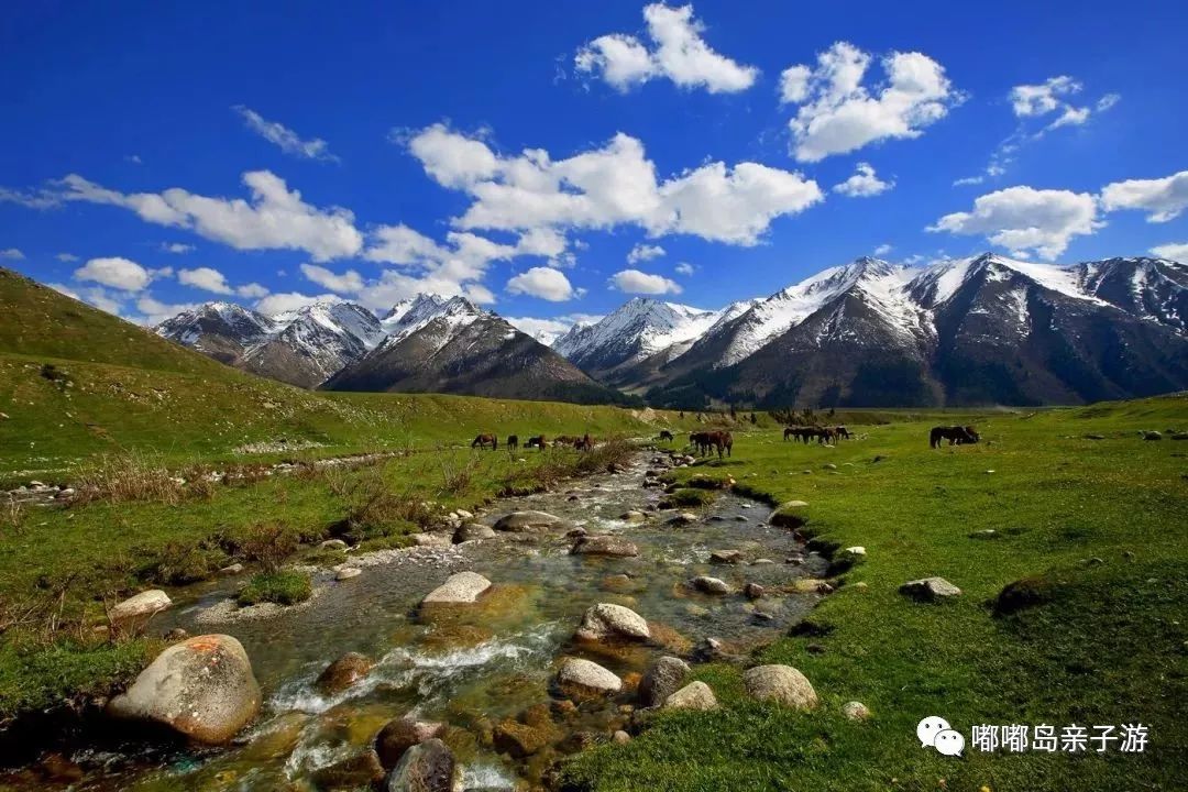 新疆，多彩边疆的魅力与独特风采